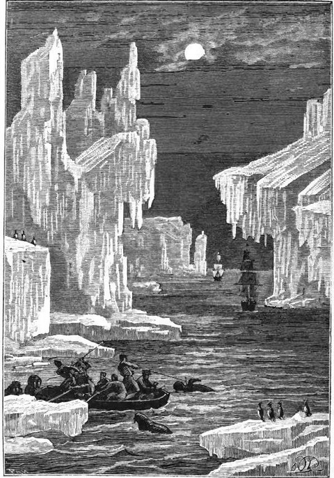 Among the icebergs