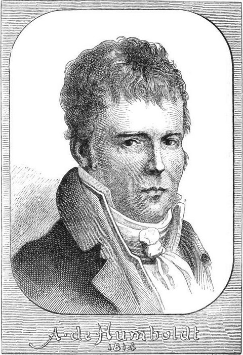 Portrait of Alex. de Humboldt